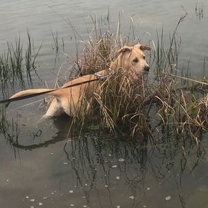 Meet your Posher, Christy